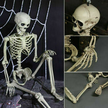 Load image into Gallery viewer, Poseable Full Life Size Menselijk Skelet Halloween Decoratie Party Prop Nieuwe 40cm