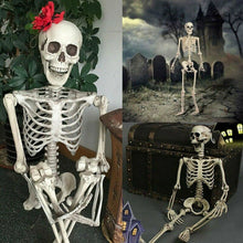 Load image into Gallery viewer, Poseable Full Life Size Menselijk Skelet Halloween Decoratie Party Prop Nieuwe 40cm